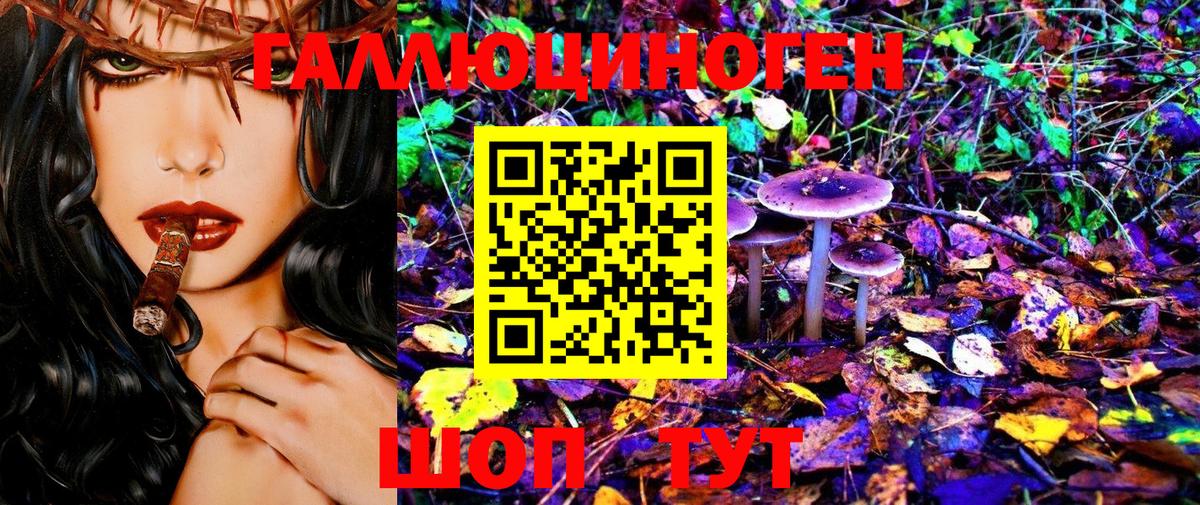 Псилоцибиновые грибы Psilocybine cubensis Орехово-Зуево