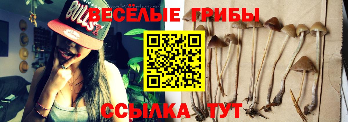 Галлюциногенные грибы Magic Shrooms  купить закладку  Орехово-Зуево  Вход с VPN 