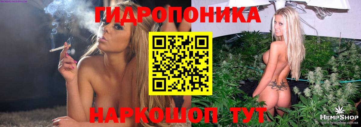 Бошки Шишки планчик Орехово-Зуево